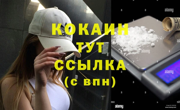spice Богородск