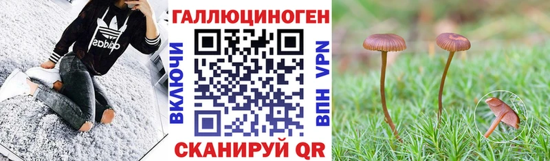 Галлюциногенные грибы Psilocybe Окуловка